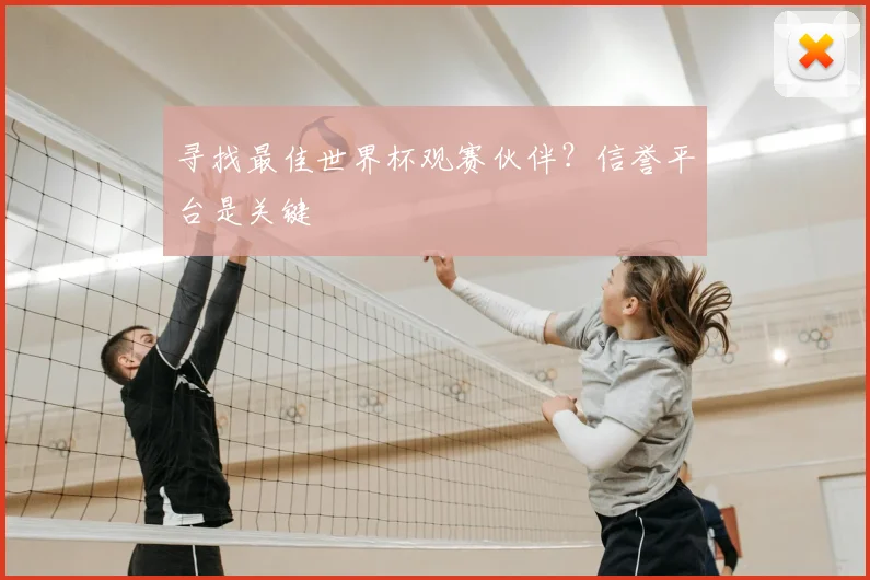 寻找最佳世界杯观赛伙伴？信誉平台是关键