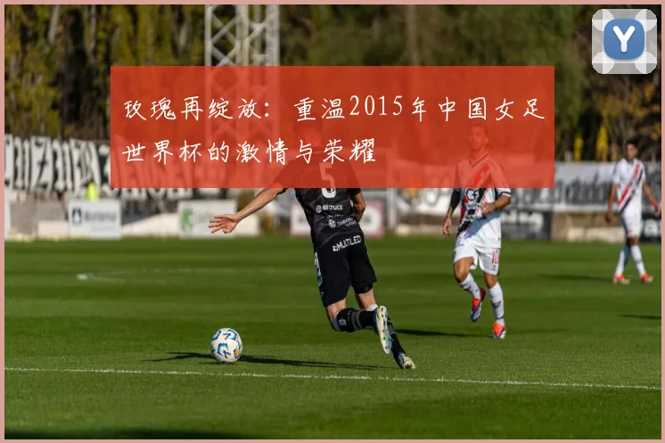 玫瑰再绽放:重温2015年中国女足世界杯的激情与荣耀