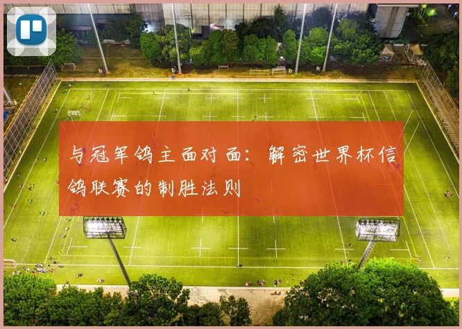 与冠军鸽主面对面：解密世界杯信鸽联赛的制胜法则