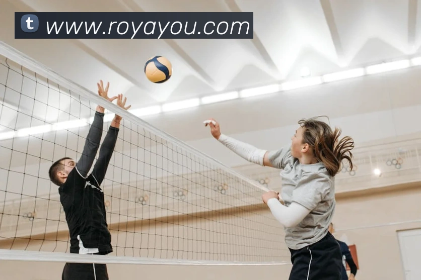 博亚体育app官网入口发展历程